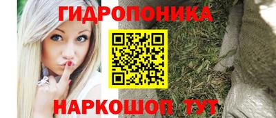 соль ск Пушкино
