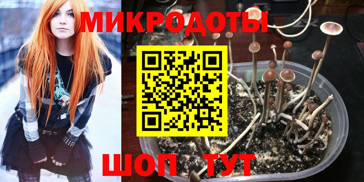 Галлюциногенные грибы Psilocybine cubensis Учалы