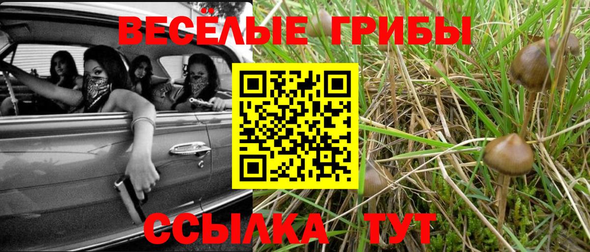 Учалы  Галлюциногенные грибы GOLDEN TEACHER  дарнет шоп  Вход с VPN 